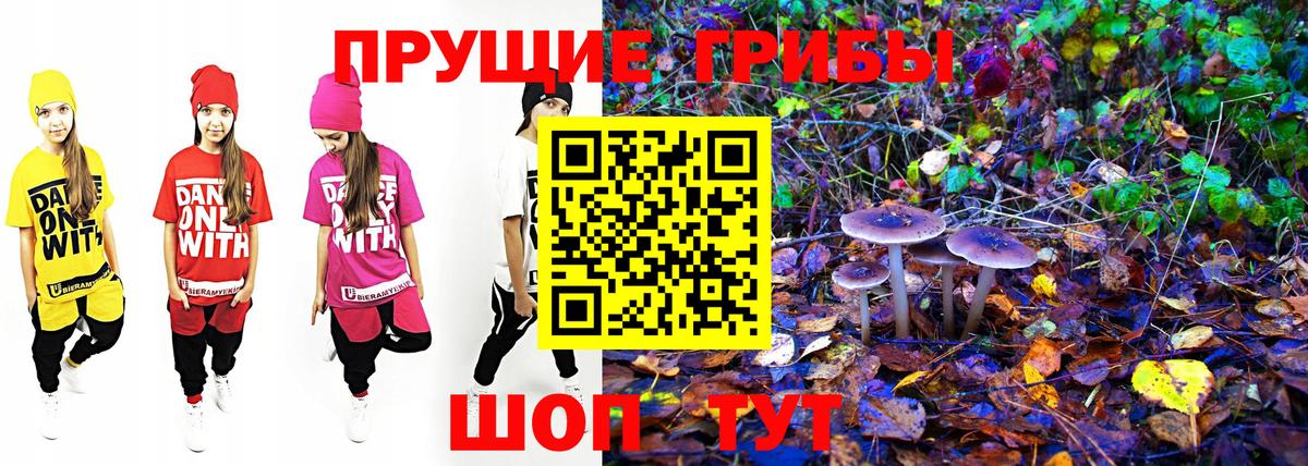 Галлюциногенные грибы MAGIC MUSHROOMS Сатка