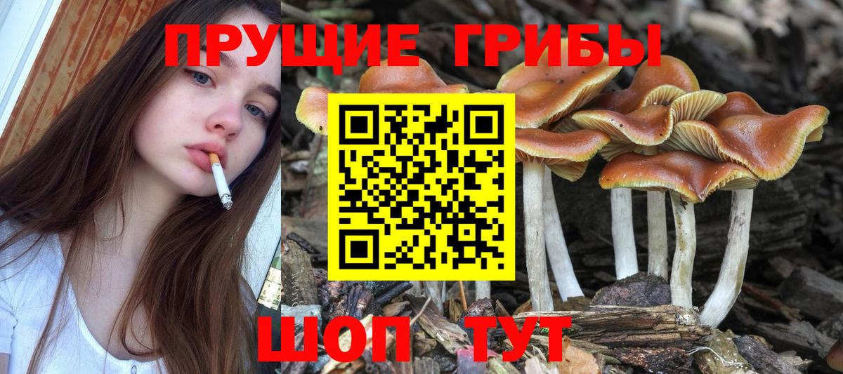 Псилоцибиновые грибы Magic Shrooms  Вход с VPN  цена наркотик  Сатка 